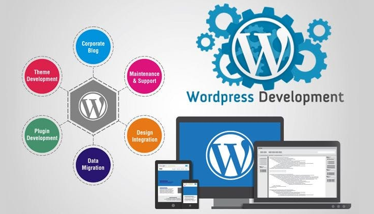 WordPress development
